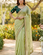 Staring Pista Embroidery Work Jimmy Choo Silk Saree With Prettiest Full Stitched Blouse