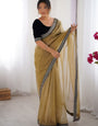 Rhapsodic Beige Twill Net Embroidery Work Saree With Velvet Blouse Piece