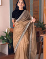 Enticing Brown Twill Net Embroidery Work Saree With Velvet Blouse Piece